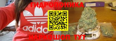 каннабис Новозыбков