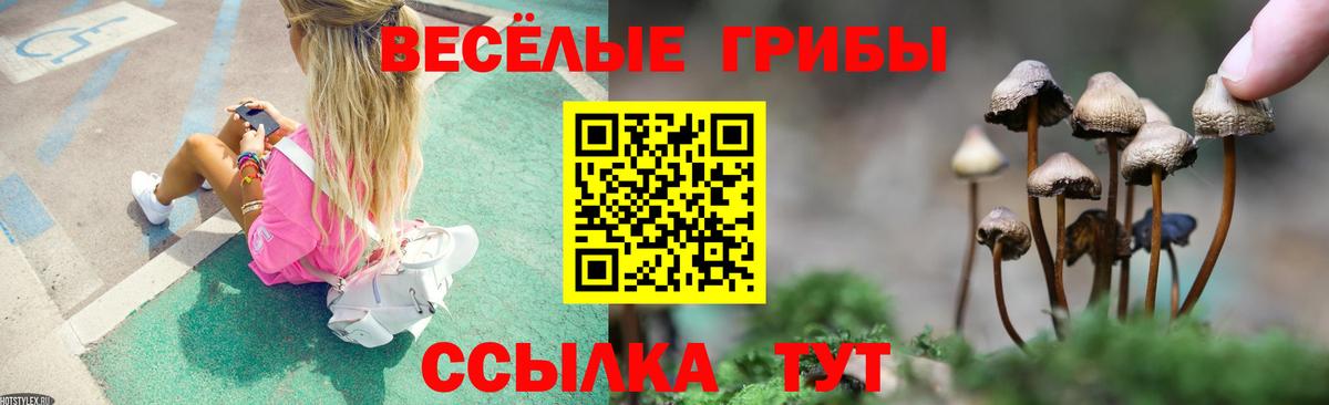 Галлюциногенные грибы Magic Shrooms  Псилоцибиновые грибы Cubensis  Черногорск  Вход с VPN 